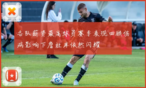 各队薪资最高球员赛季表现回顾伤病影响下詹杜库依然闪耀
