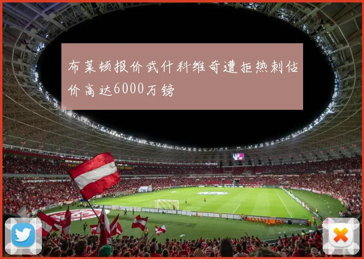 布莱顿报价武什科维奇遭拒热刺估价高达6000万镑